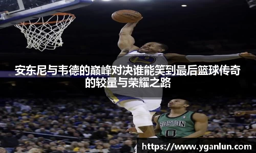 龙8平台